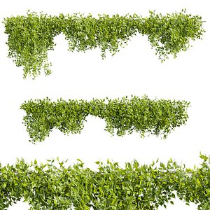 plant vol 823 - bush - Outdoor - ivy - pothos 3D model