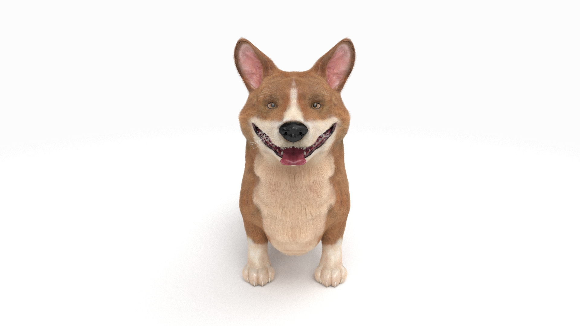 corgi fur animations model https://p.turbosquid.com/ts-thumb/Ht/Jkdw4v/C3jQxI2F/corgie_beauty/jpg/1602187900/1920x1080/turn_fit_q99/d6b612f709676e30500d0eeb9a9b9a5f236f3519/corgie_beauty-1.jpg