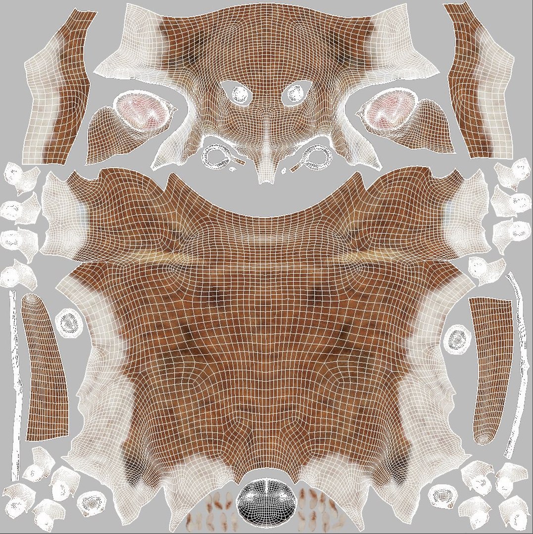corgi fur animations model https://p.turbosquid.com/ts-thumb/Ht/Jkdw4v/wv7ac2uJ/uv/jpg/1602192224/1920x1080/fit_q87/e3f4d06fcdd21e36640528db719963058254d28b/uv.jpg