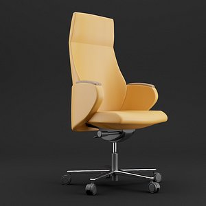 3D modern leather office