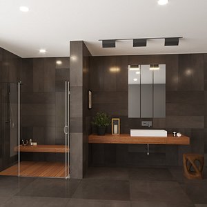 bathroom designed shower 3D model