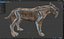 Sabertooth