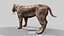 Sabertooth