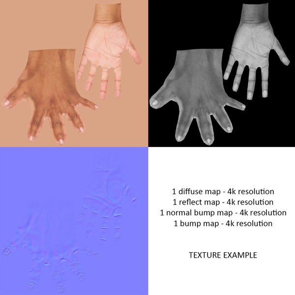 3d hand rigged poses skin