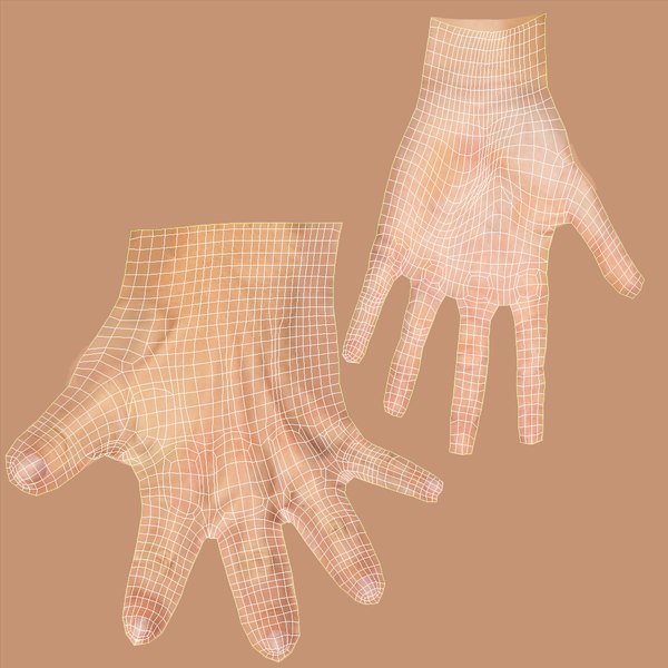 3d hand rigged poses skin