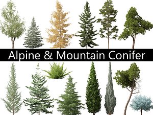 3D model Alpine Mountain Conifers Pack 14