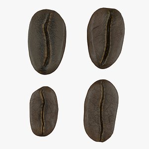 3D model coffee bean
