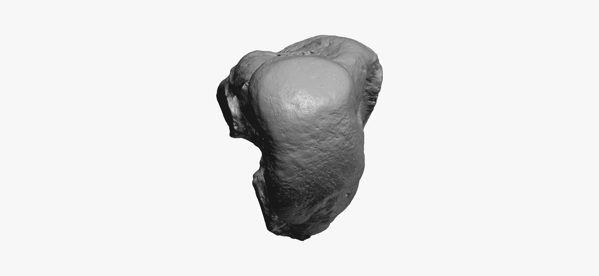 metatarsal bone 01 raw 3D model https://p.turbosquid.com/ts-thumb/Ht/eS2ktE/CUaqtq5Y/third_metatarsal_bone_01_thumbnail_10/jpg/1602493370/1920x1080/fit_q87/0f61eae25461ae67a6dd49566f9c563ca0bd923f/third_metatarsal_bone_01_thumbnail_10.jpg