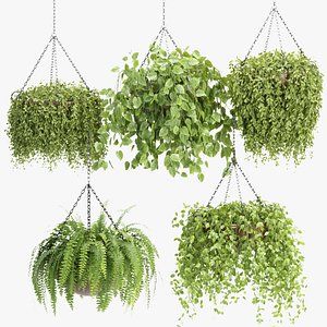 Hanging plants collection vol 142-3dmodel