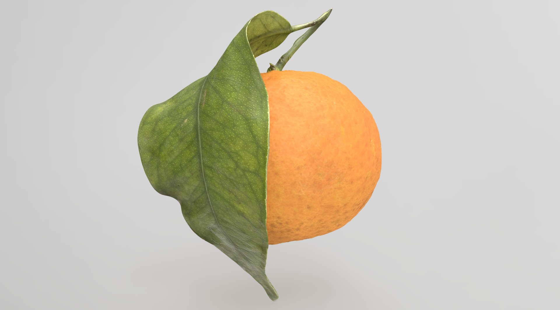 Mandarin Orange or Tangerine 3D model https://p.turbosquid.com/ts-thumb/Ht/yXo6Ds/Ft/tangerine.74/jpg/1703541950/1920x1080/fit_q87/655c29fec9adf98611d8d7ccba30c1801ea3ed6a/tangerine.74.jpg