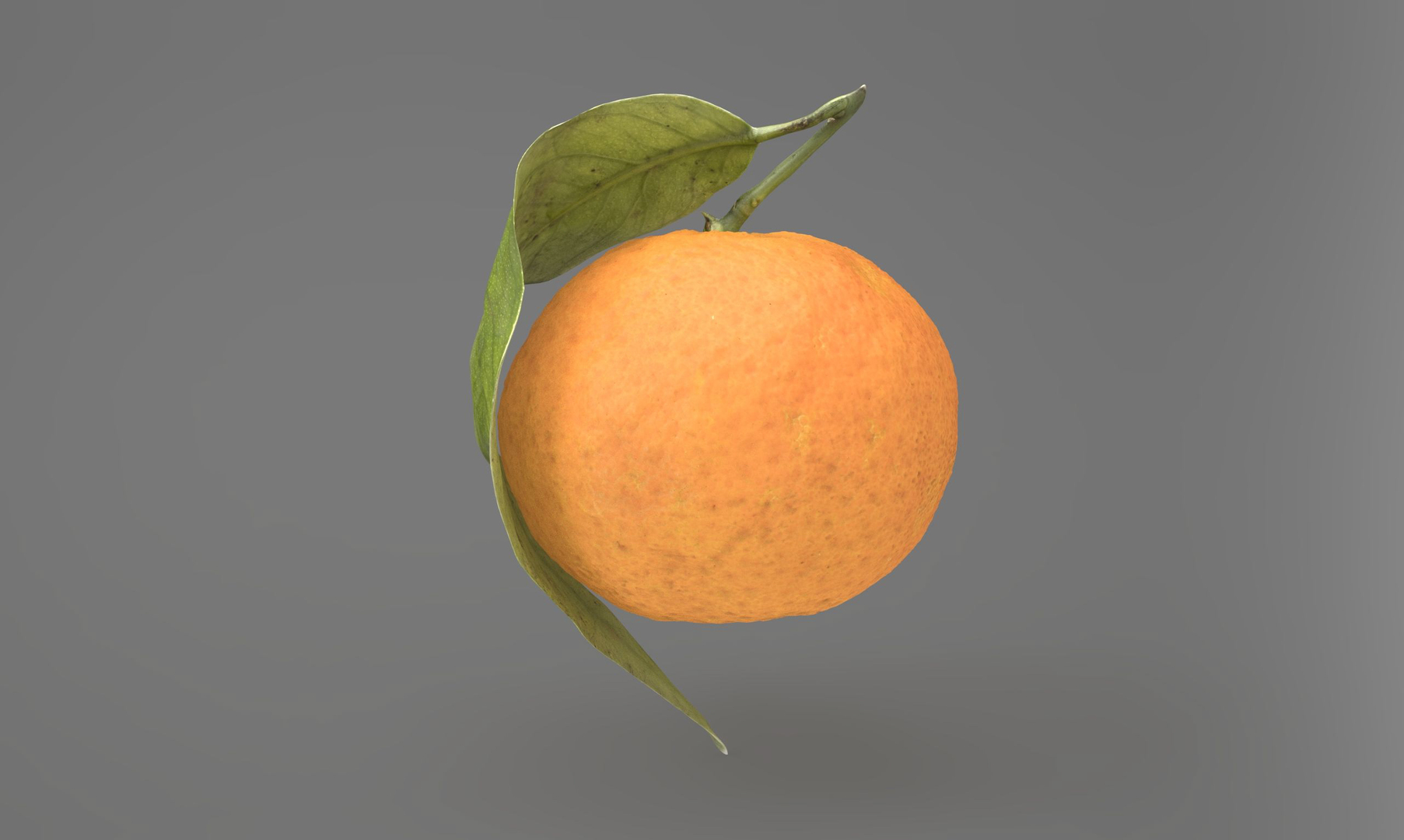 Mandarin Orange or Tangerine 3D model https://p.turbosquid.com/ts-thumb/Ht/yXo6Ds/L4/tan/jpg/1703541995/1920x1080/turn_fit_q99/1fd7e7a25e71ae19388b80c5a0ab3e8a1888040b/tan-1.jpg