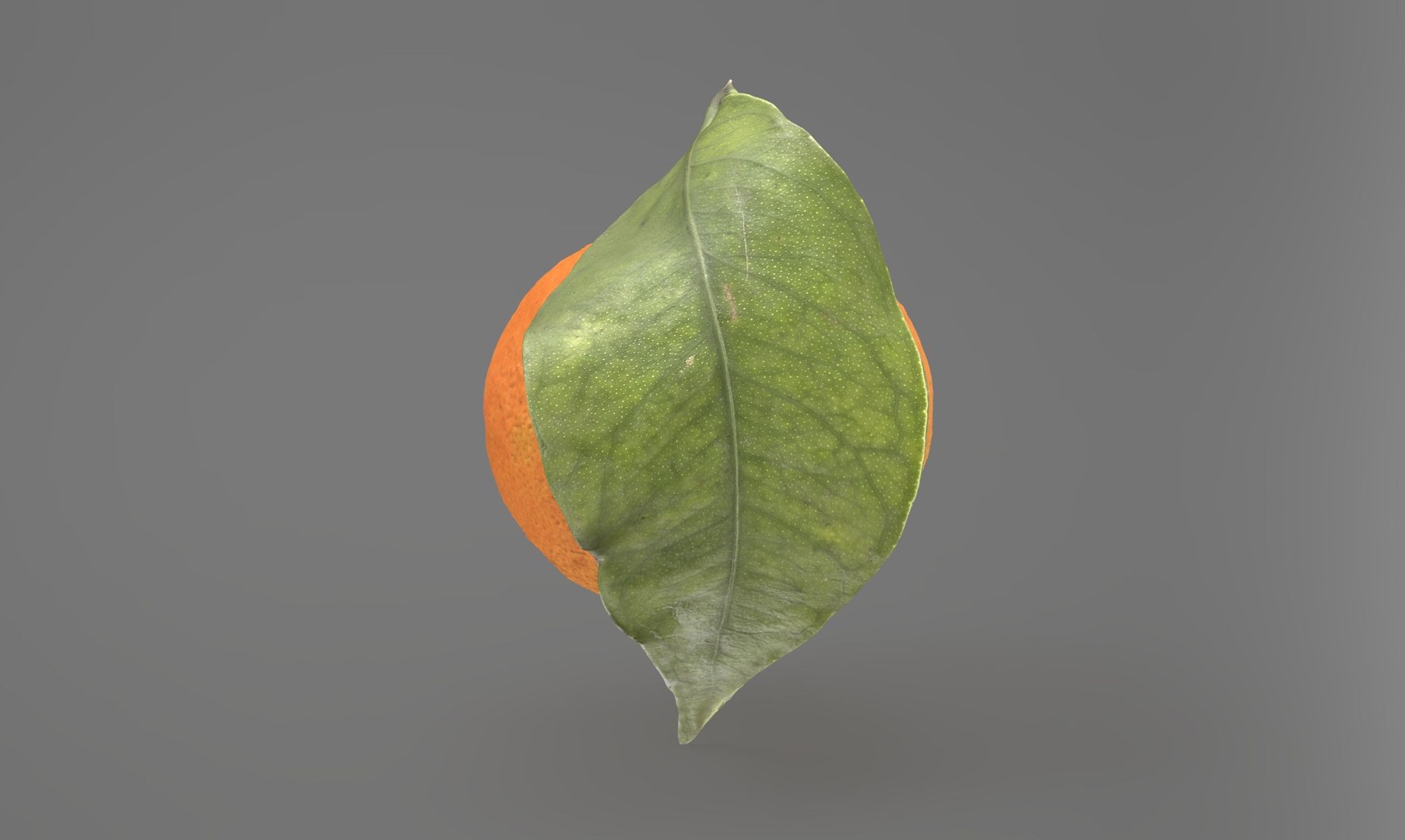 Mandarin Orange or Tangerine 3D model https://p.turbosquid.com/ts-thumb/Ht/yXo6Ds/QB/z0_101/jpg/1703542117/1920x1080/fit_q87/f71852c52b5dbceb90a063e34334610a1211e8b5/z0_101.jpg