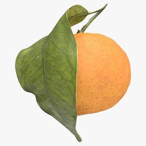 Mandarin Orange or Tangerine