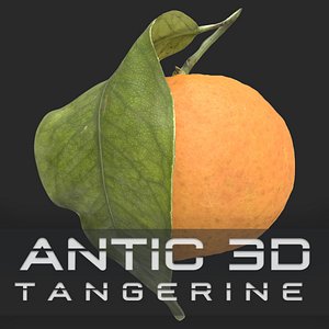 Mandarin Orange or Tangerine