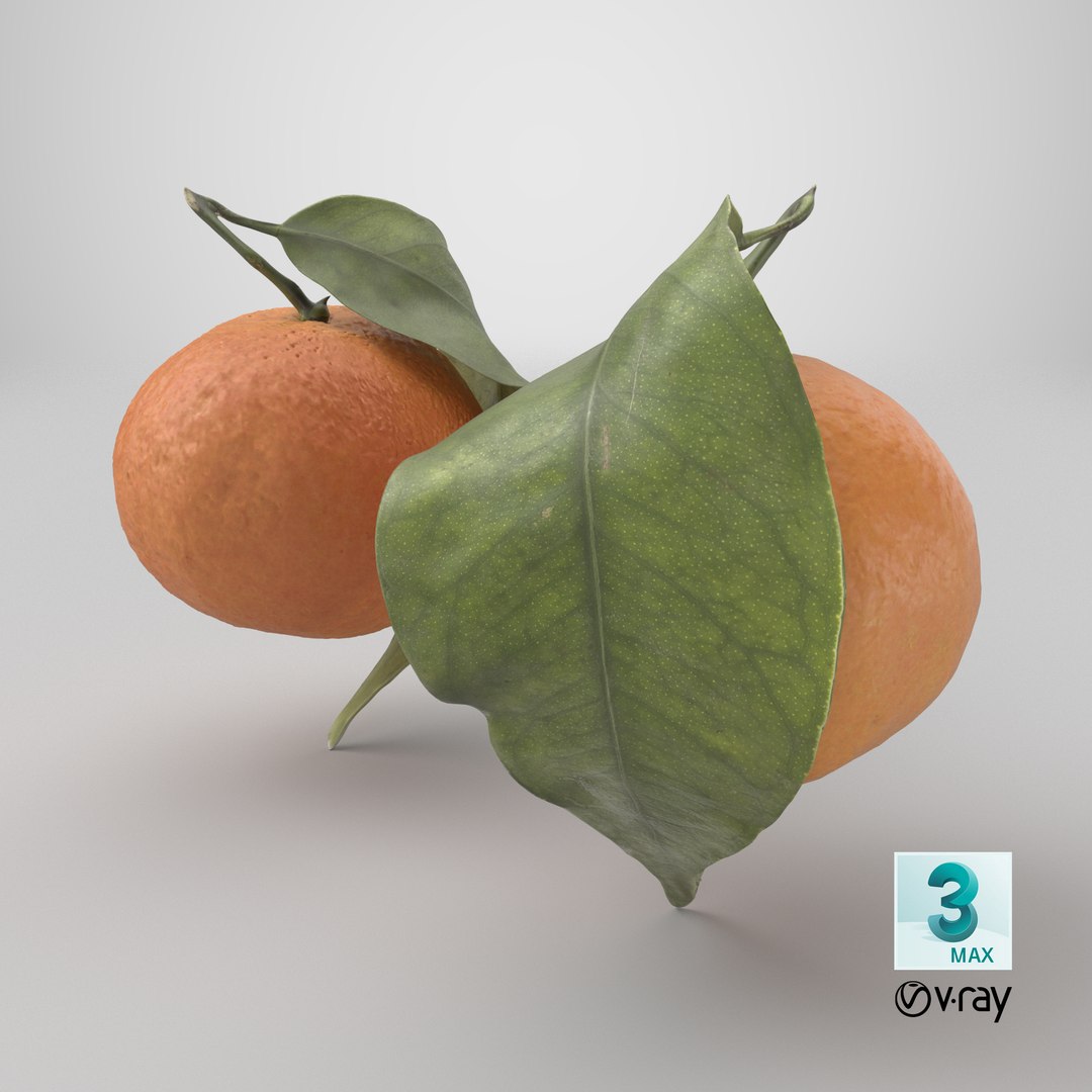 Mandarin Orange or Tangerine 3D model https://p.turbosquid.com/ts-thumb/Ht/yXo6Ds/ZA/stemcell_max_vray_render/png/1791220038/1920x1080/fit_q87/086ff8fa596783cacaf7ef5e543d2ff1bac2fd2a/stemcell_max_vray_render.jpg