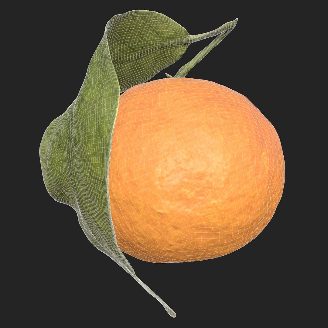 Mandarin Orange or Tangerine 3D model https://p.turbosquid.com/ts-thumb/Ht/yXo6Ds/Zy/twr/jpg/1703541949/1920x1080/fit_q87/247b2b73faa088a9c064b1cbed51e92de7e88c98/twr.jpg