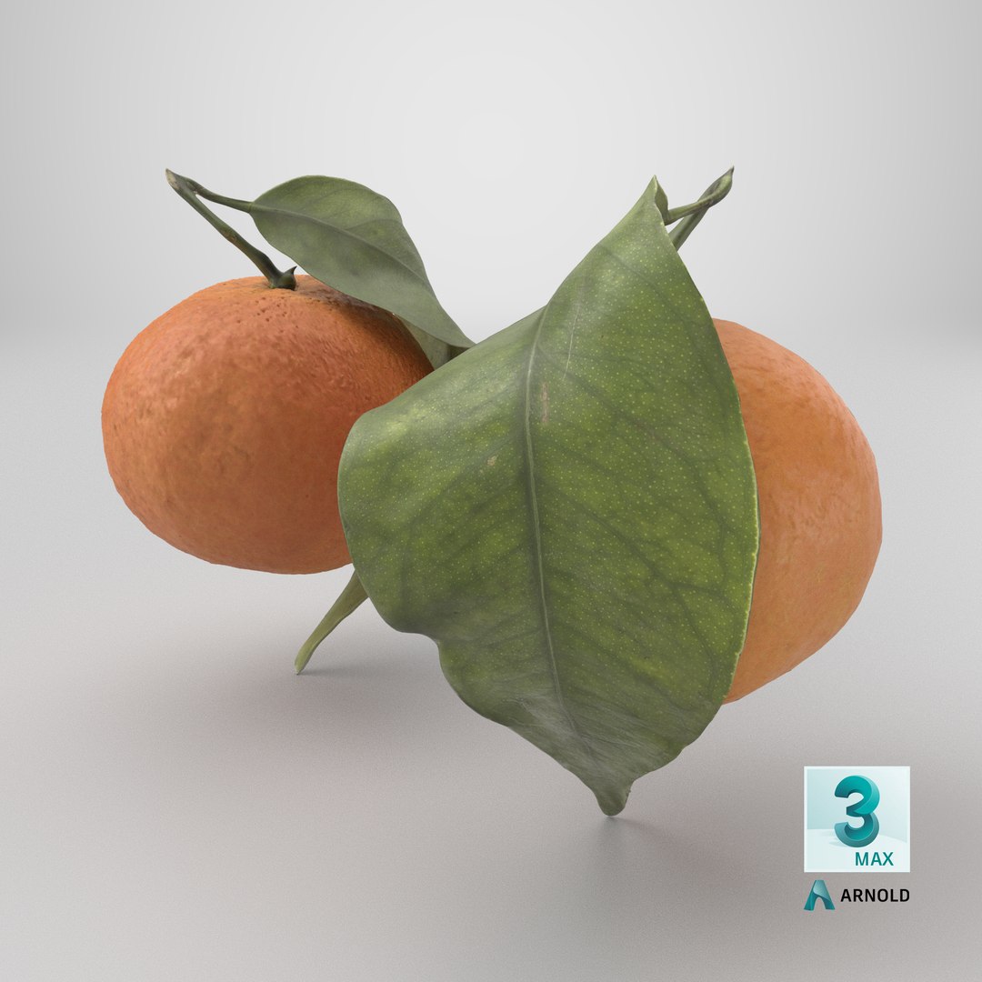 Mandarin Orange or Tangerine 3D model https://p.turbosquid.com/ts-thumb/Ht/yXo6Ds/gj/stemcell_max_arnold_render/png/1791220039/1920x1080/fit_q87/bbcc22e0e72fbd37e776c8c49cc8994f84bddc43/stemcell_max_arnold_render.jpg