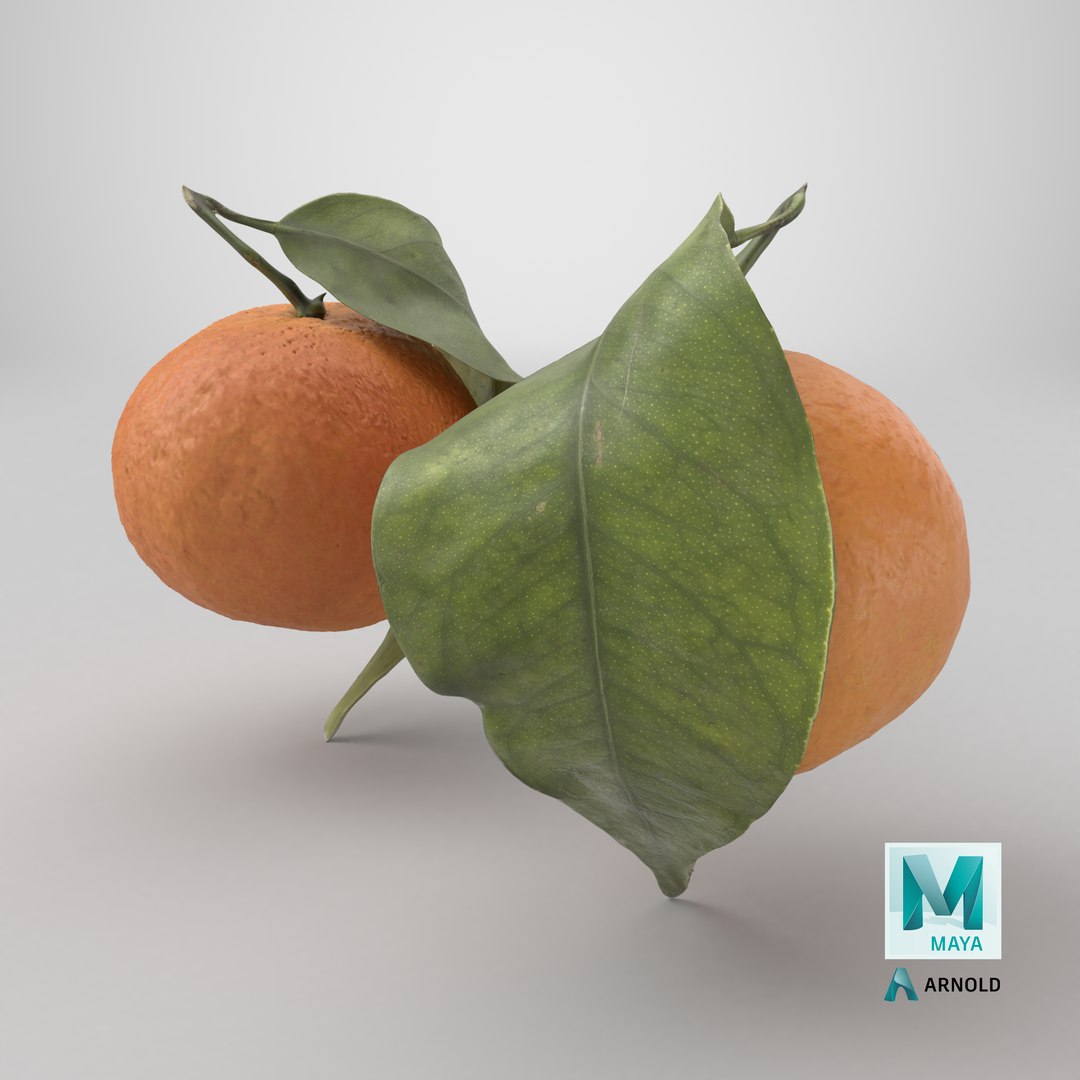 Mandarin Orange or Tangerine 3D model https://p.turbosquid.com/ts-thumb/Ht/yXo6Ds/h4/stemcell_maya_arnold_render/png/1791220030/1920x1080/fit_q87/159f27ab5f565a90daa75b0bca07e6aa3e48d40f/stemcell_maya_arnold_render.jpg