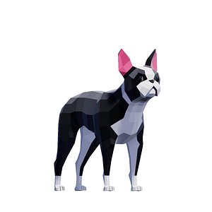 Low Poly Boston Terrier Dog Pack 3D model
