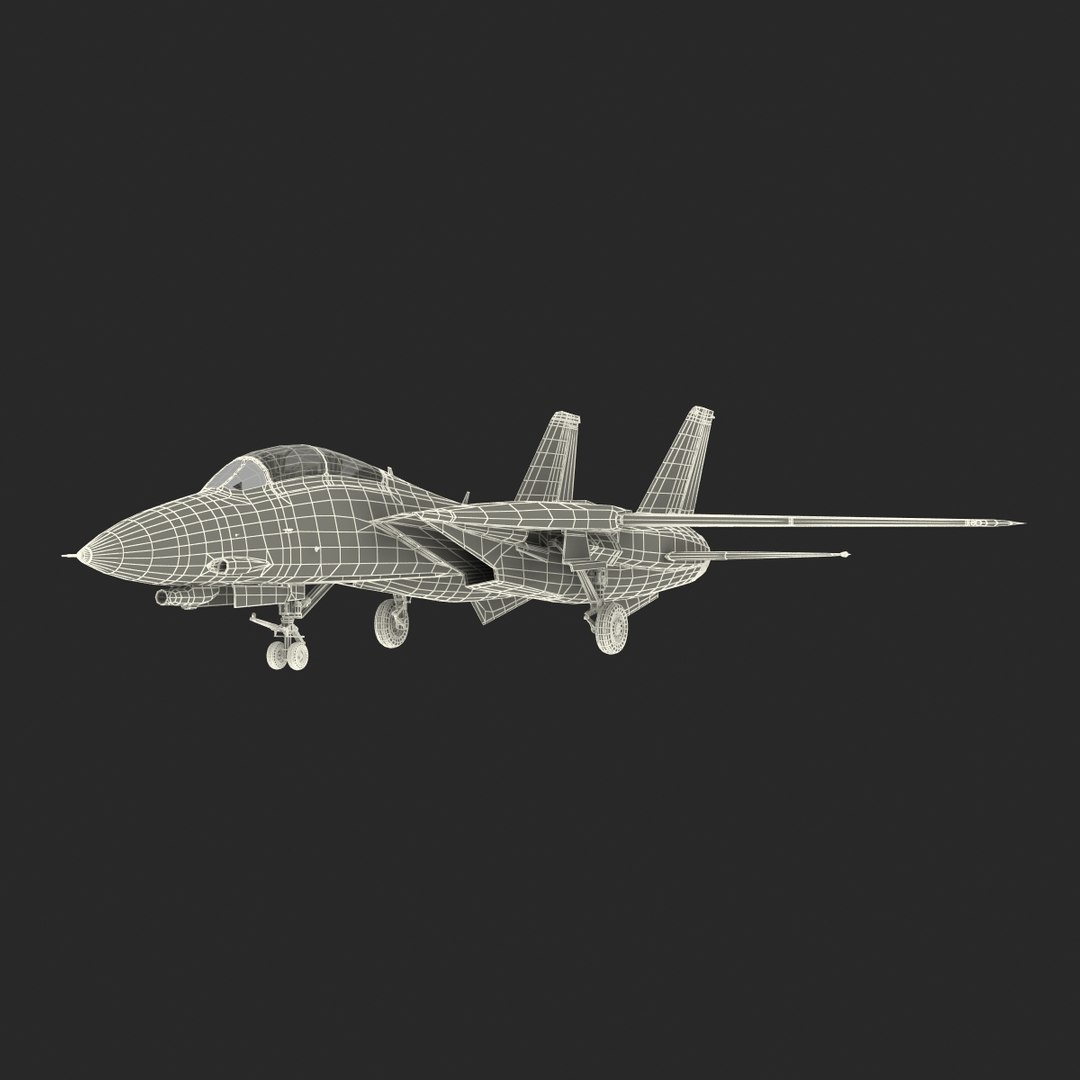 f 14 tomcat combat 3d model https://p.turbosquid.com/ts-thumb/Hu/ARlTmj/QB7tbcFr/f14tomcatuscombataircraftvray3dmodel67/jpg/1470483986/1920x1080/fit_q87/cfcf0ee088617d2887616562b86008958aafd933/f14tomcatuscombataircraftvray3dmodel67.jpg