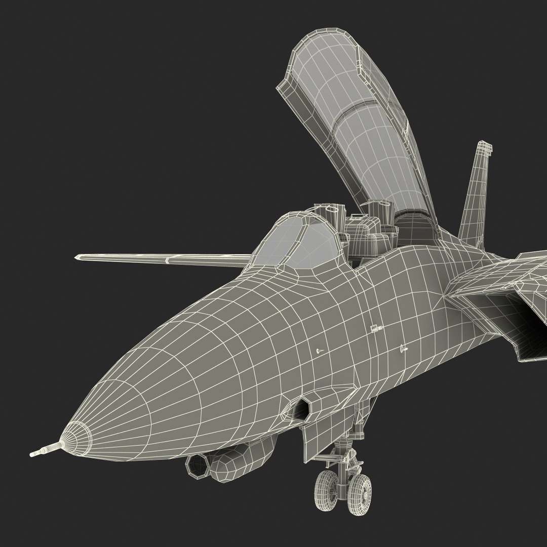 f 14 tomcat combat 3d model https://p.turbosquid.com/ts-thumb/Hu/ARlTmj/cZX60JVS/f14tomcatuscombataircraftvray3dmodel80/jpg/1470483987/1920x1080/fit_q87/e00e96394cf8f6bc256f04829b95d734780ed166/f14tomcatuscombataircraftvray3dmodel80.jpg