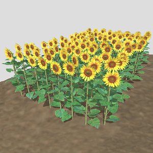 3D model Sunflower field for 3d printing