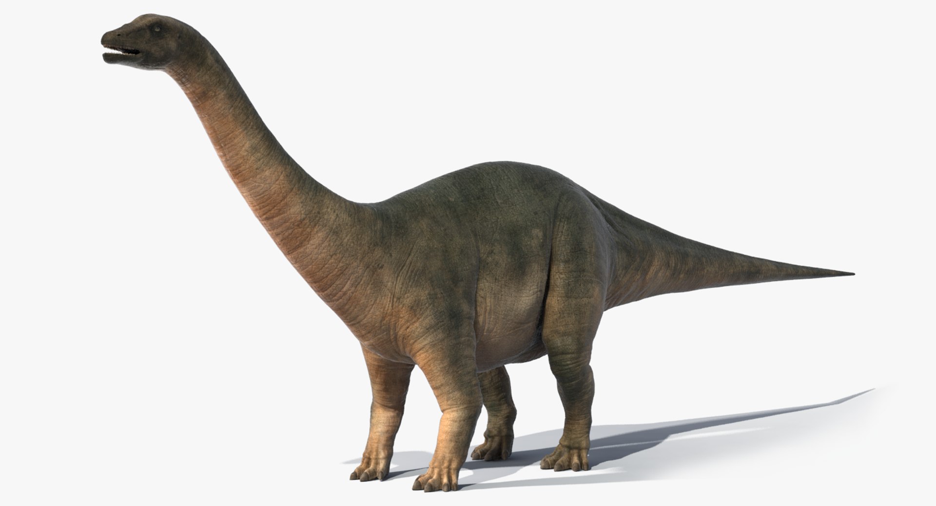 恐竜置物￼ ブロントサウルス Brontosaurus デザイン像 中国四川
