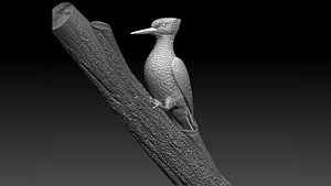3D woodpecker model
