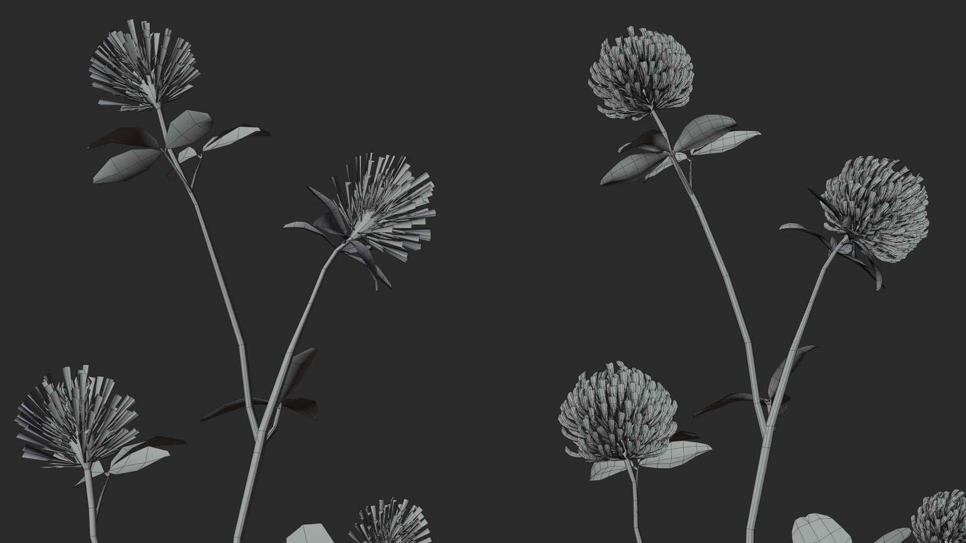 3D clovers flower vol01 model https://p.turbosquid.com/ts-thumb/Hu/LkbQit/HNhAnNbv/3dflowercollectionvol01clover_08/png/1599329880/1920x1080/fit_q87/210de207e517fae6311980440afea4f44fca30b7/3dflowercollectionvol01clover_08.jpg