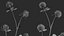 Collezione di fiori 3D trifoglio vol01