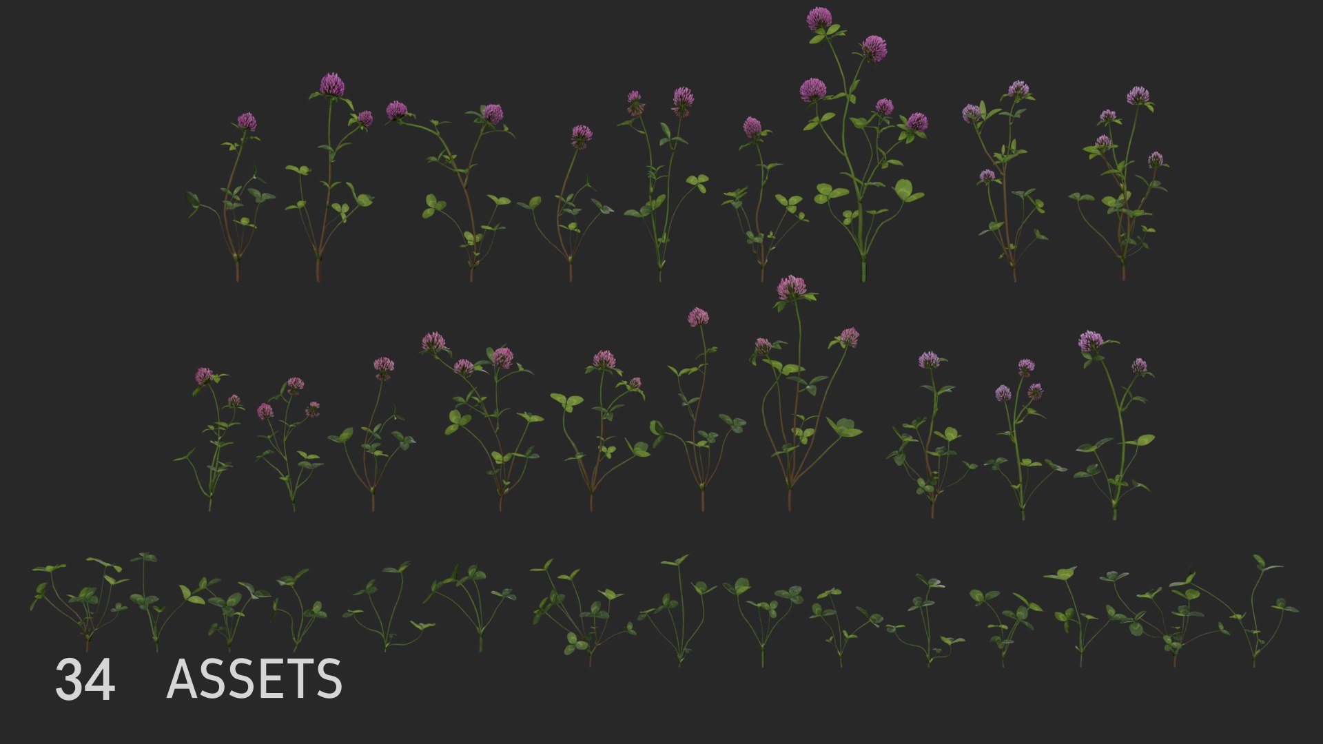 3D clovers flower vol01 model https://p.turbosquid.com/ts-thumb/Hu/LkbQit/SziSX11E/3dflowercollectionvol01clover_04/png/1599329827/1920x1080/fit_q87/97d68b1b090fba35c058efee6378ab755fc209fd/3dflowercollectionvol01clover_04.jpg