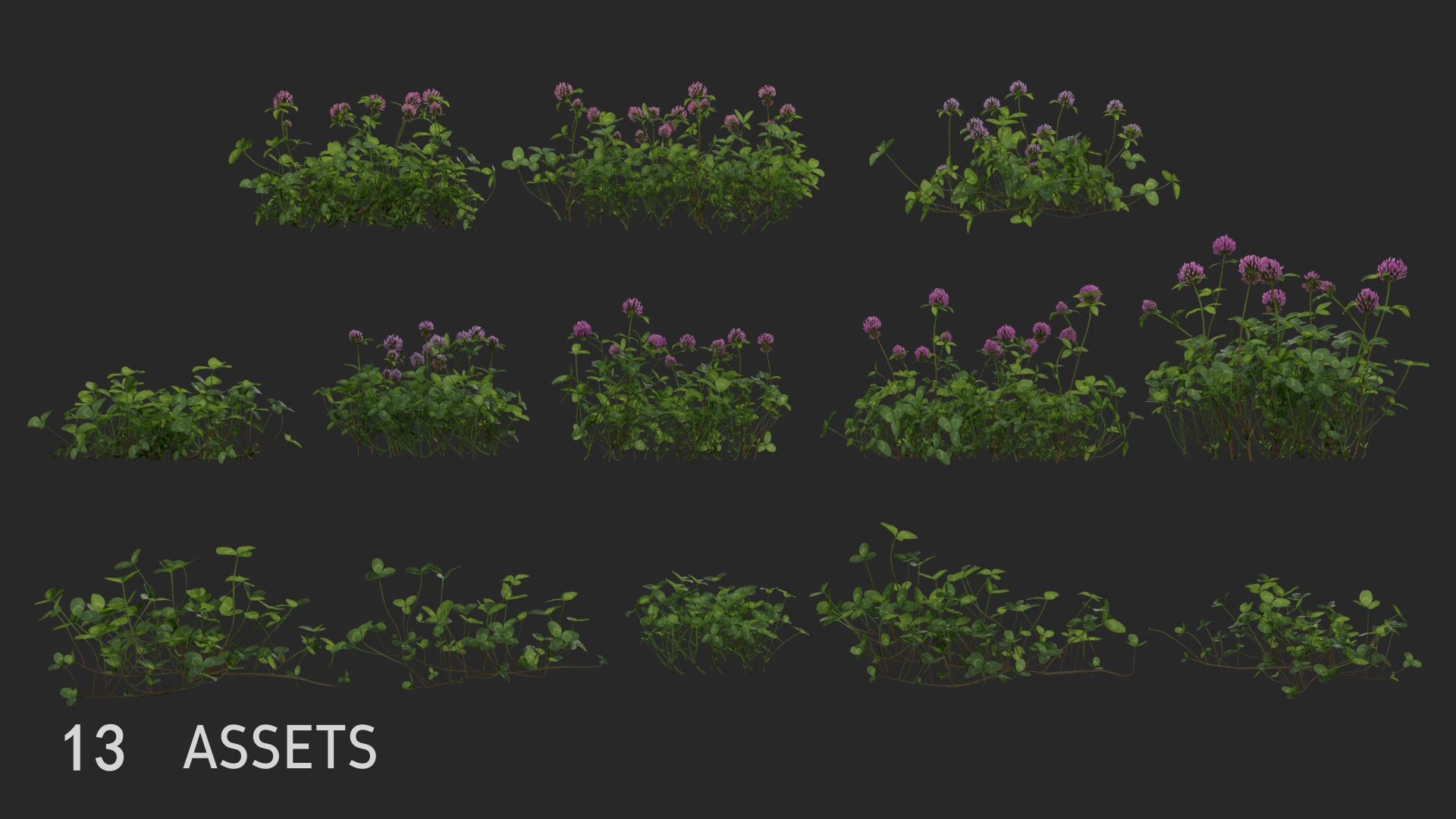 3D clovers flower vol01 model https://p.turbosquid.com/ts-thumb/Hu/LkbQit/iEyn1BDc/3dflowercollectionvol01clover_05/png/1599329855/1920x1080/fit_q87/9ba4c0eb8246b6bf9a69c06352c4c6583846787b/3dflowercollectionvol01clover_05.jpg