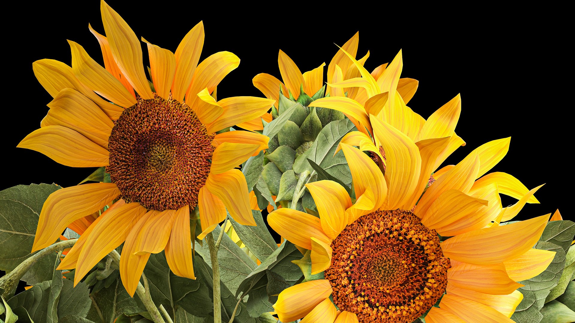 3D Flower Bouquet Of Sunflowers In A Vase 118 Model - TurboSquid 1762568