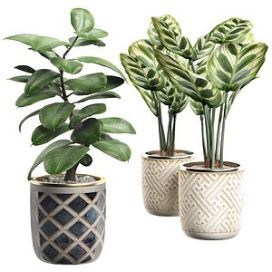 potted plants set 9 3D model