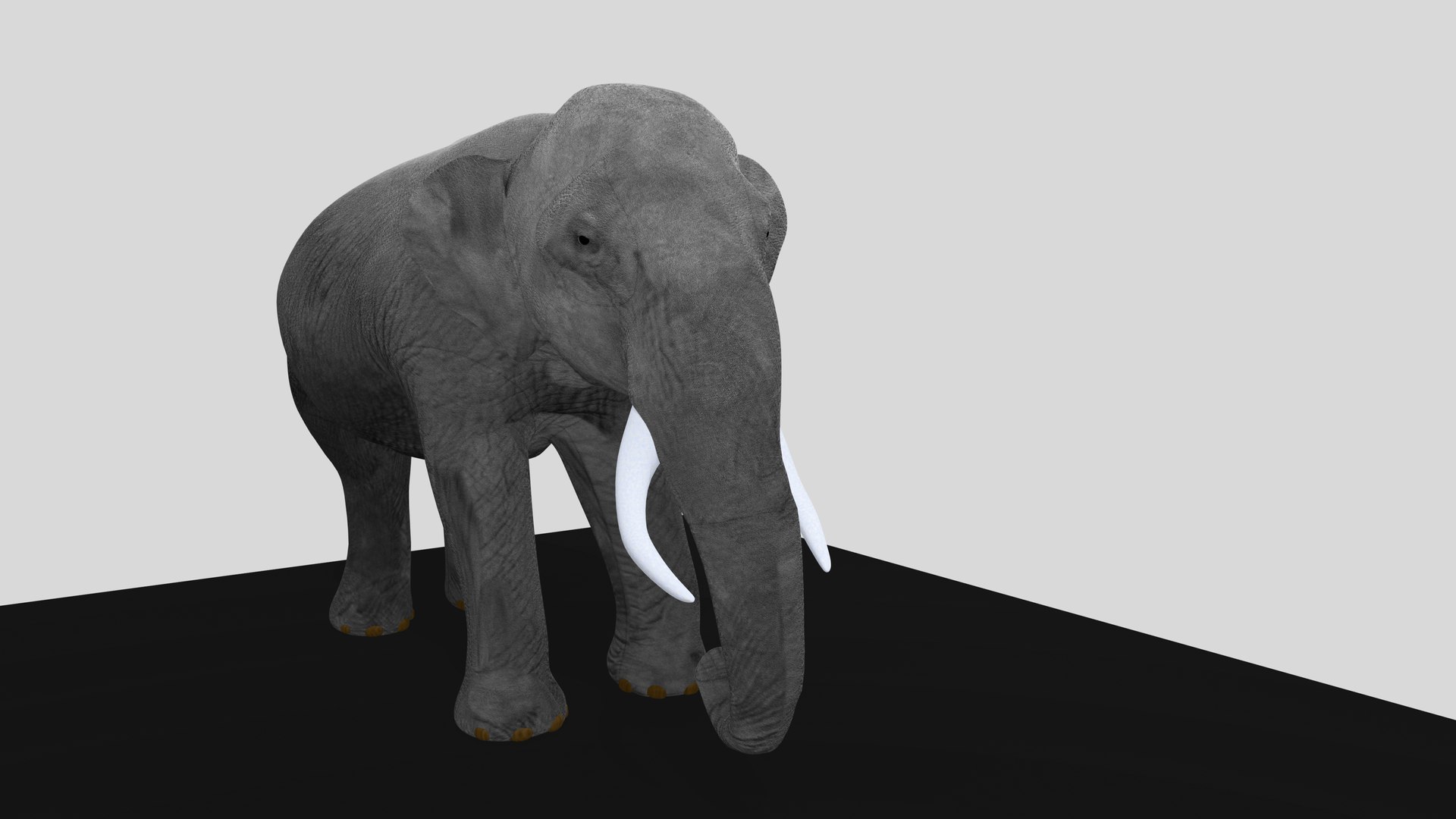 Realistic Elephant 3D Model 6 Animations Game Ready unity asset 3D https://p.turbosquid.com/ts-thumb/Hu/jALEIP/VF/p3/png/1747250370/1920x1080/fit_q87/9f1434727e27401a78b1bc066df9019691467984/p3.jpg