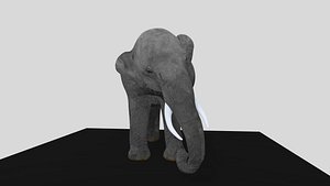 Realistic Elephant 3D Model 6 Animations Game Ready unity asset