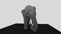 Realistic Elephant 3D Model 6 Animations Game Ready unity asset