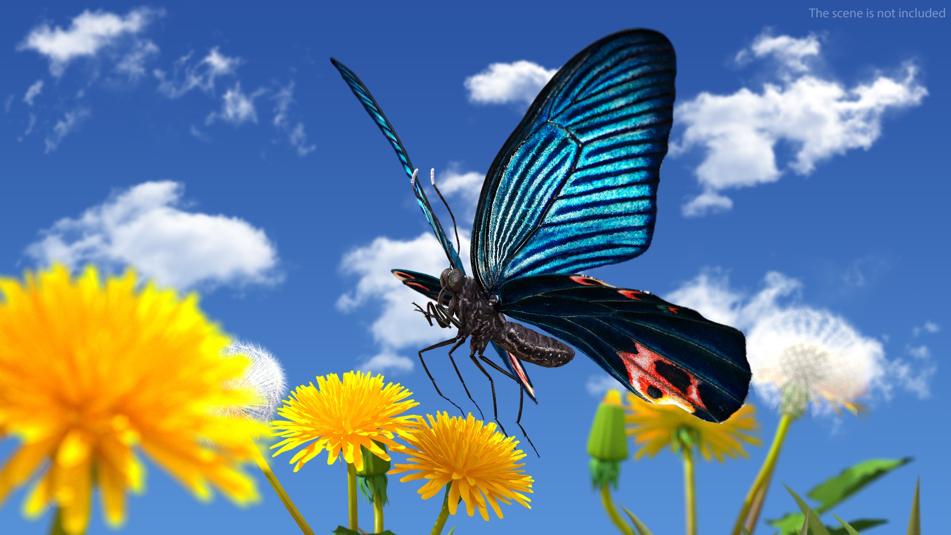 3D Animated Papilio Butterfly Flapping Wings Rigged For Modo Model ...