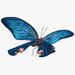 3D Animated Papilio Butterfly Flapping Wings Rigged for Modo model