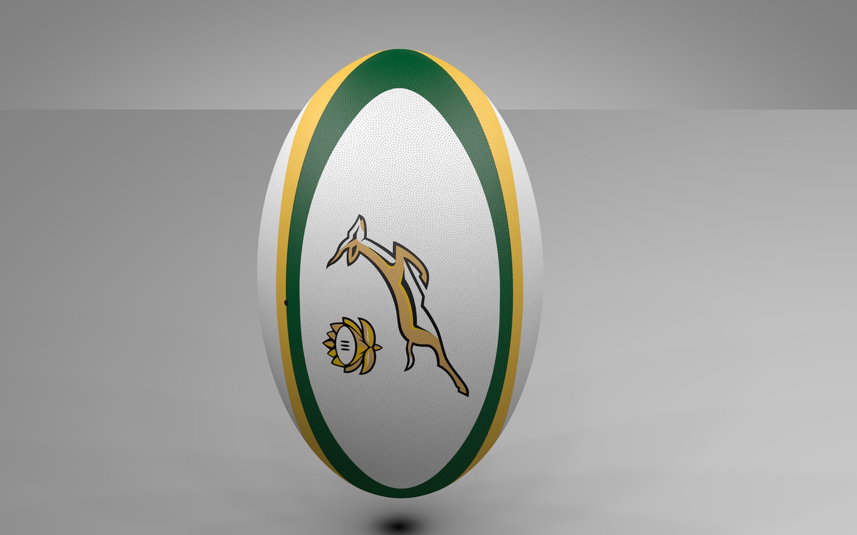 3D Rugby Ball Springbok L1492 Model - TurboSquid 1786682