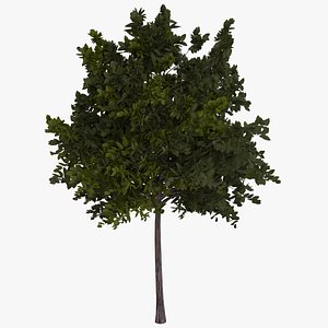 Tree Green