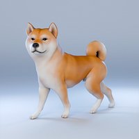 Dog Shiba Inu Animal
