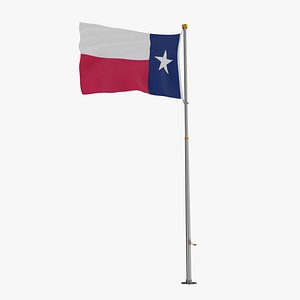 3D Pole Flag Texas model