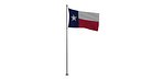Pole Flag Texas