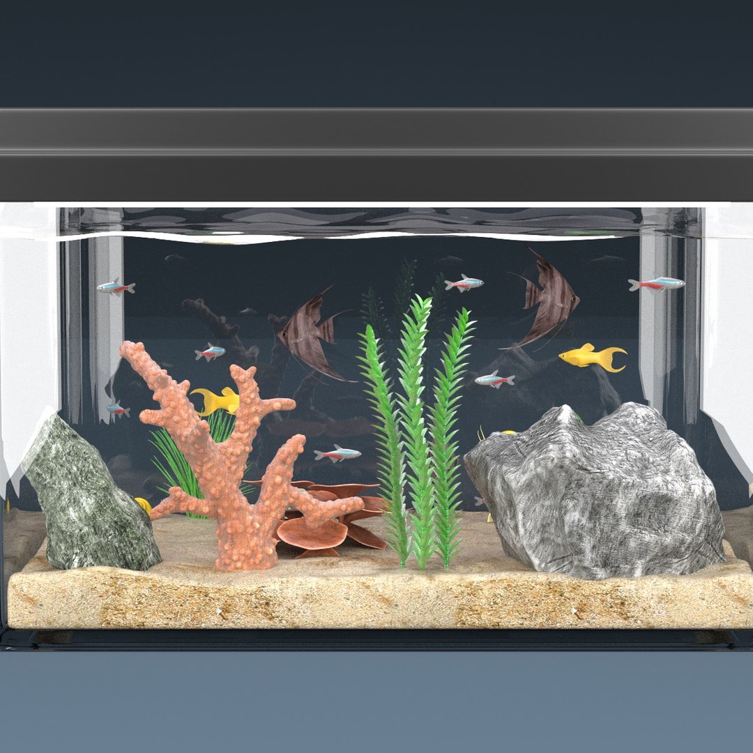 3d Model Aquarium Equipped Decorations