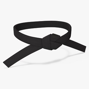 Black Martial Arts Waist Belt