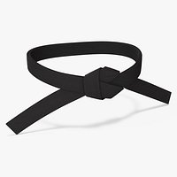 Black Martial Arts Waist Belt