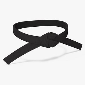 Black Martial Arts Waist Belt