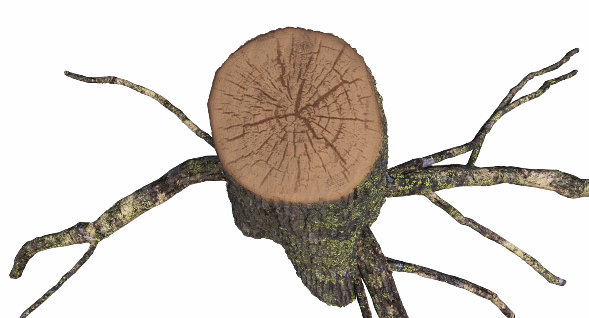 3D Stump Roots - TurboSquid 1418597