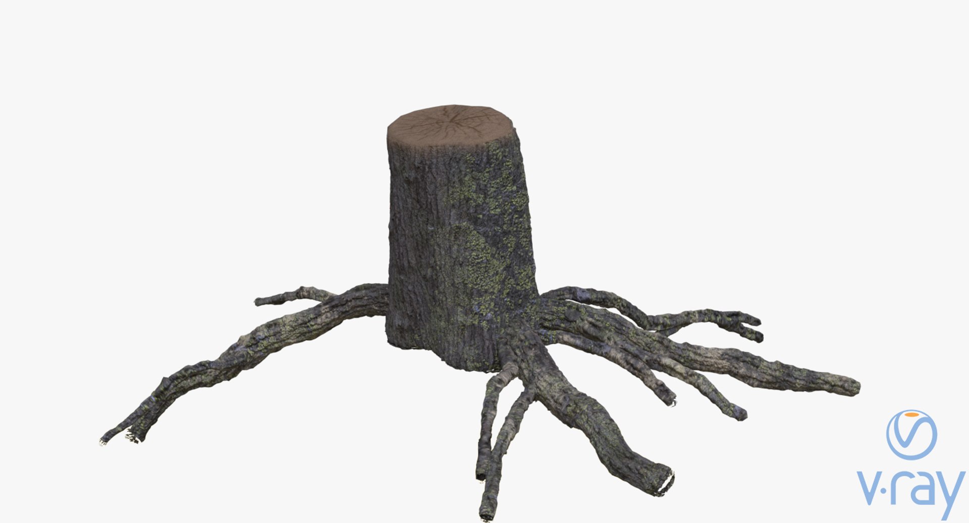 3D Stump Roots - TurboSquid 1418597